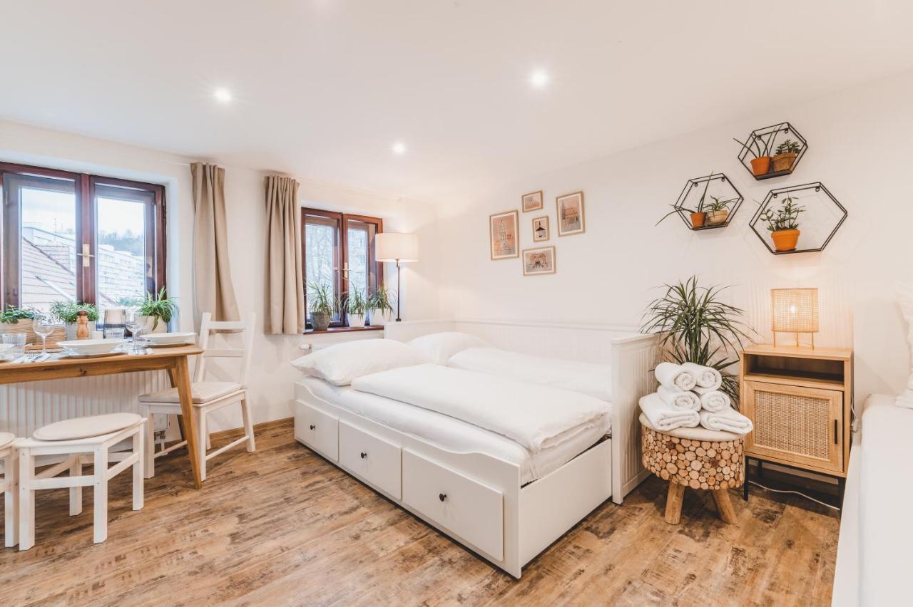 Konekt Apartment Чешки Крумлов Екстериор снимка